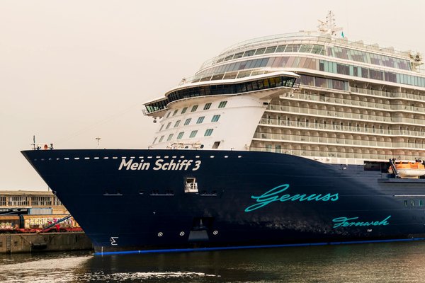 Où observer les tortues géantes aux Seychelles : îles et périodes idéales ?